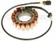 BMW F650 F650GS F650CS Dakar R13 K14 stator alternator rewinding