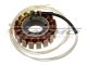 Carmo CARG521 stator alternator rewinding