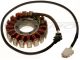 Triumph Tiger 1050 stator alternator rewinding