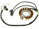 Yamaha YFM350 Stator - CARG4311