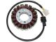 Stator - Yamaha YZF-R1 09-11 - CARNB6775